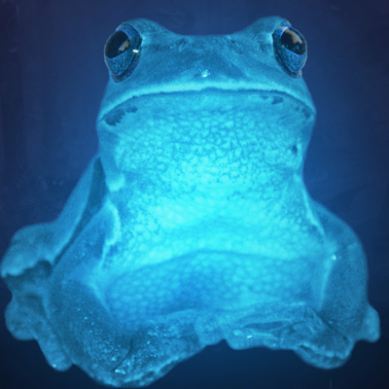 Icefrog – Doi ani de pribegie