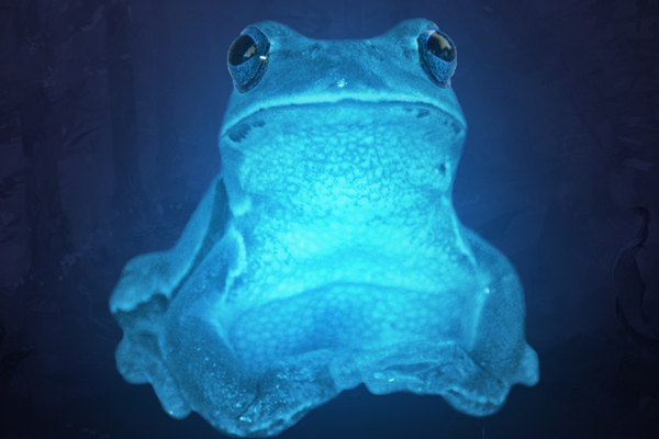 Icefrog – Doi ani de pribegie